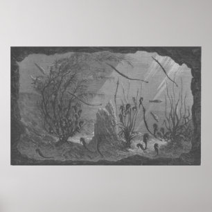 Peixes antigos dos cavalos marinhos do impressão