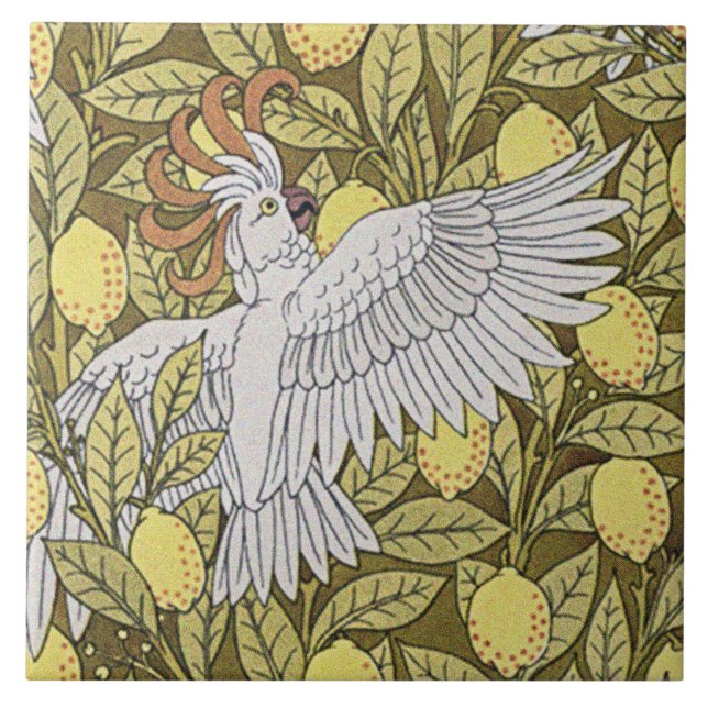 Peixes Azuis, Cockatoas e Limões (Frente)