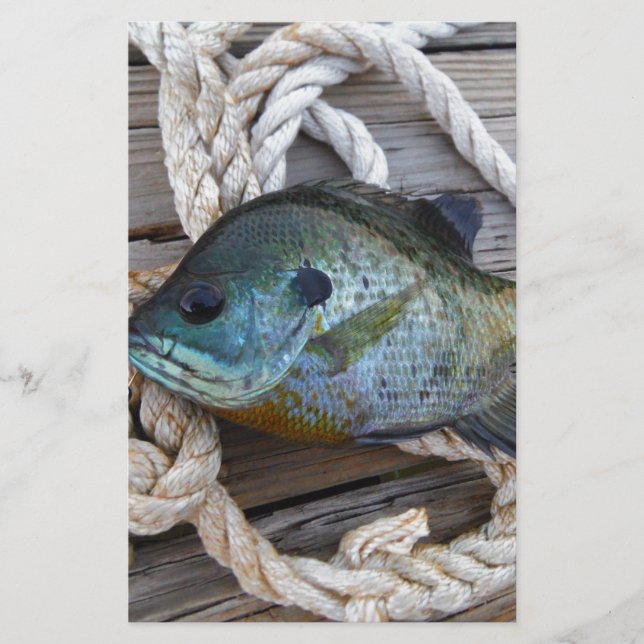 Peixes-Bluegill nas docas e cordas (Frente)