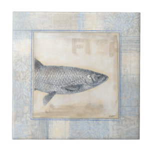 Peixes Cinzas em segundo plano