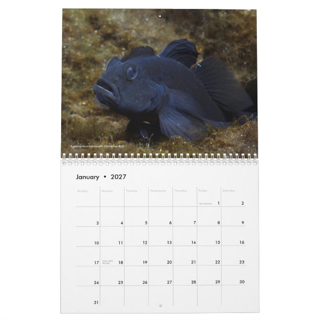 Peixes de água doce do calendário de México 2011 (Jan 2027)