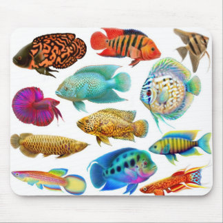 Peixes de água doce Mousepad do aquário