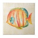 Peixes de Aquário Coloridos<br><div class="desc">Artista de Aquário Colorido: Chariklia Zarris</div>