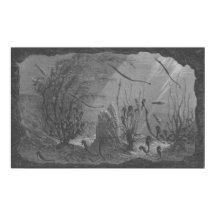 Peixes de impressão de aquário antigo