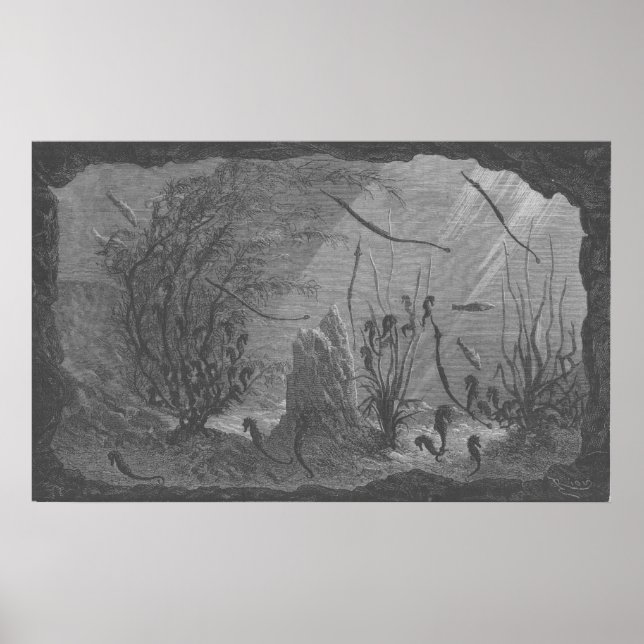 Peixes de impressão de aquário antigo (Frente)