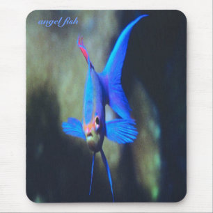 peixes do Brilhante-azul-anjo, mousepad