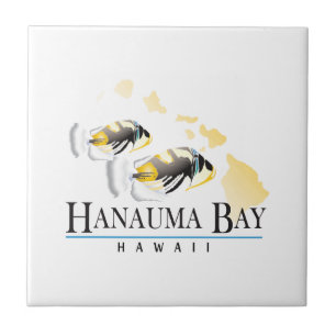 Peixes do estado de Havaí - Humuhumunukunukuapua'