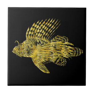 Peixes-dourado-do-campo