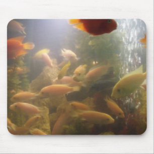 Peixes em um aquário Mousepad