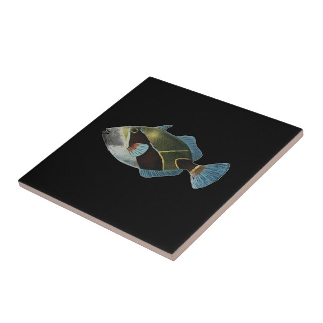 Peixes havaianos do estado - Humuhumunukunukuapuaa (Lateral)