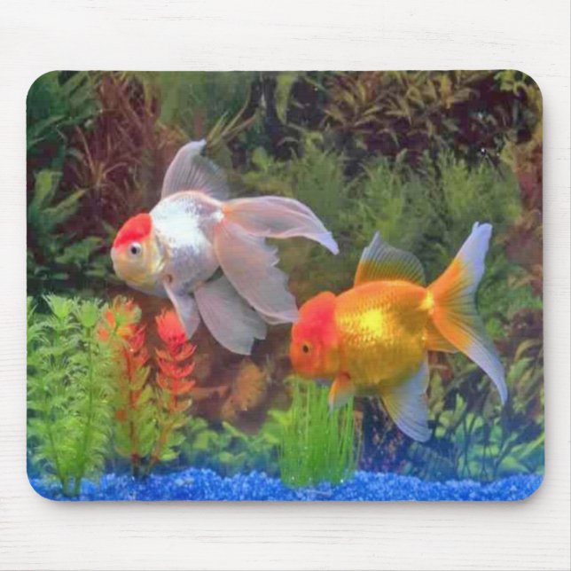 Peixes Mousepad (Frente)
