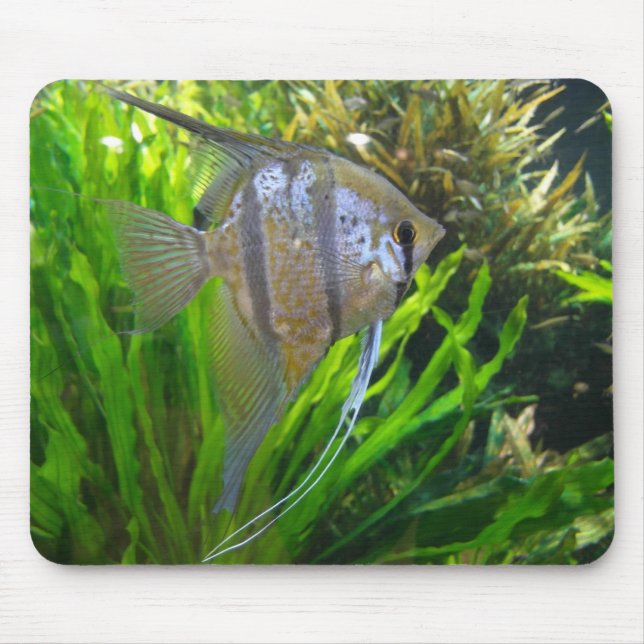 Peixes Mousepad do anjo (Frente)