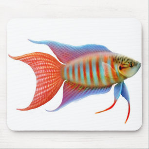Peixes Mousepad do gurami do paraíso