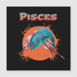 Peixes Peixes Zodíaco Horóscopo Signo de Água Astr