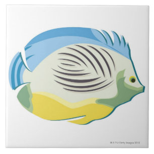 Peixes tropicais 2