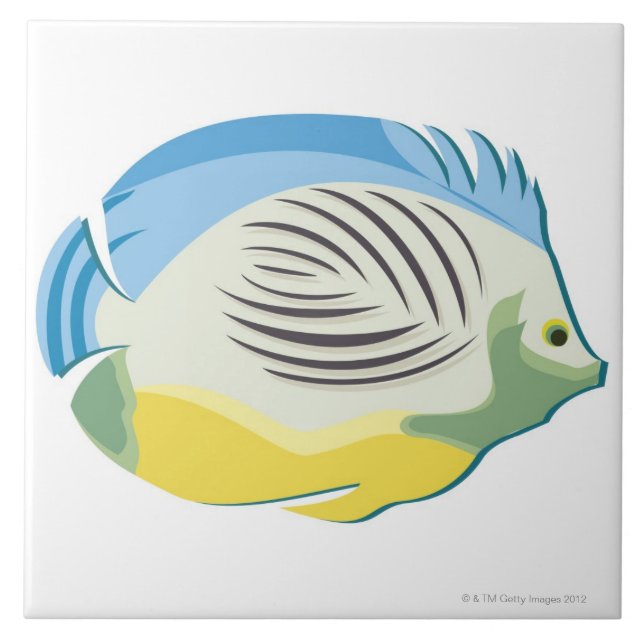 Peixes tropicais 2 (Frente)