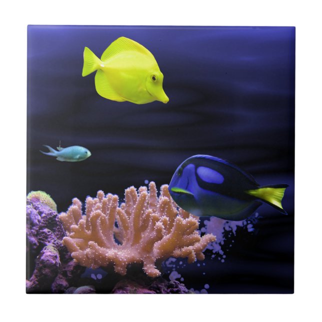 Peixes tropicais coloridos (Frente)