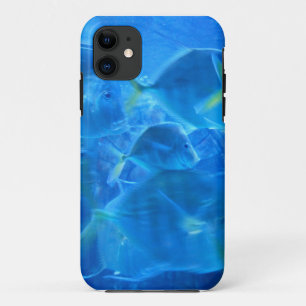 Peixes Tropicais Mal Ali Há capas de iphone