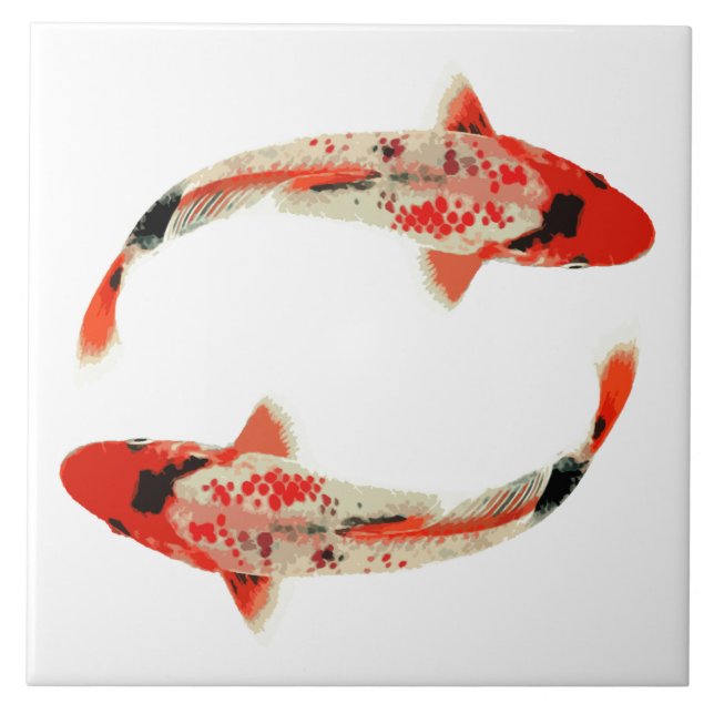 Peixes vermelhos, brancos, e pretos de Koi (Frente)