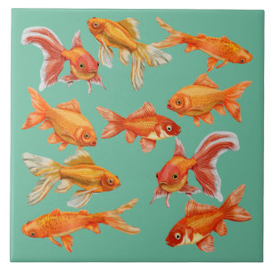 Peixinho dourado