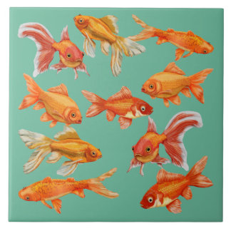 Peixinho dourado