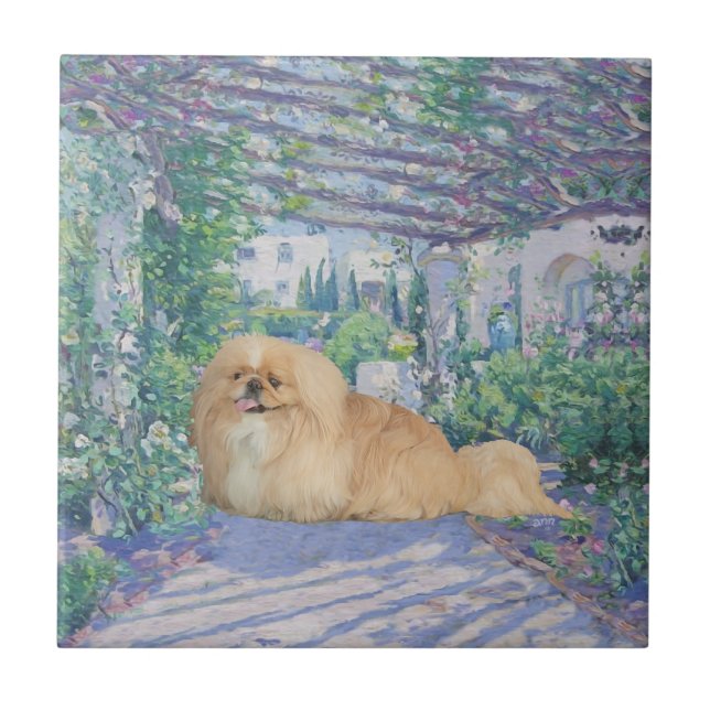 Pekingese em Lavanda (Frente)