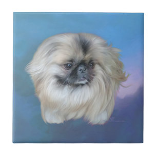 Pekingese Lily em Azul