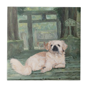 Pekingese no Portão Oriental