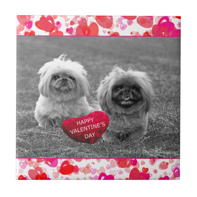 Pekingese Puppies desejando Feliz dia de os namora (Frente)