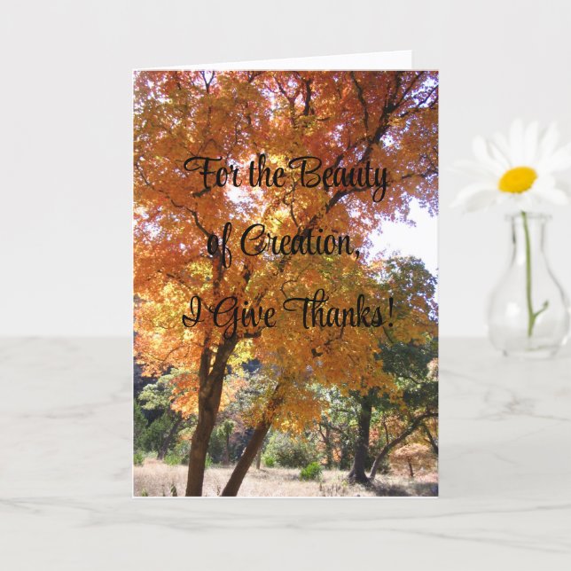 Pela Beleza da Criação, Eu Dou Obrigados, Cartão (Planta pequena)