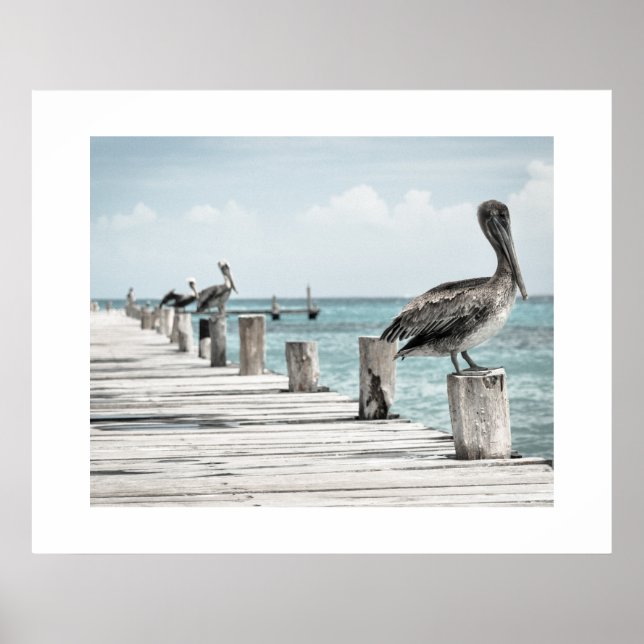 Pelanes Poster (Frente)