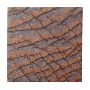 Pele de elefante
