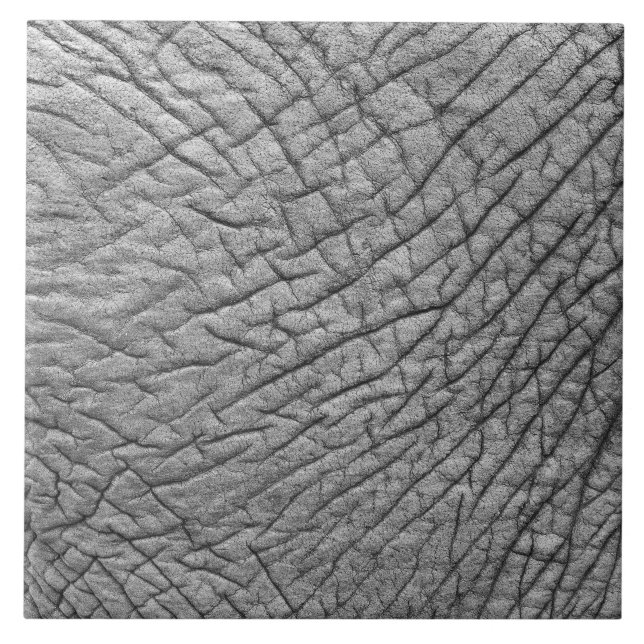 Pele elefante (Frente)