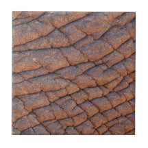 Pele Elefante