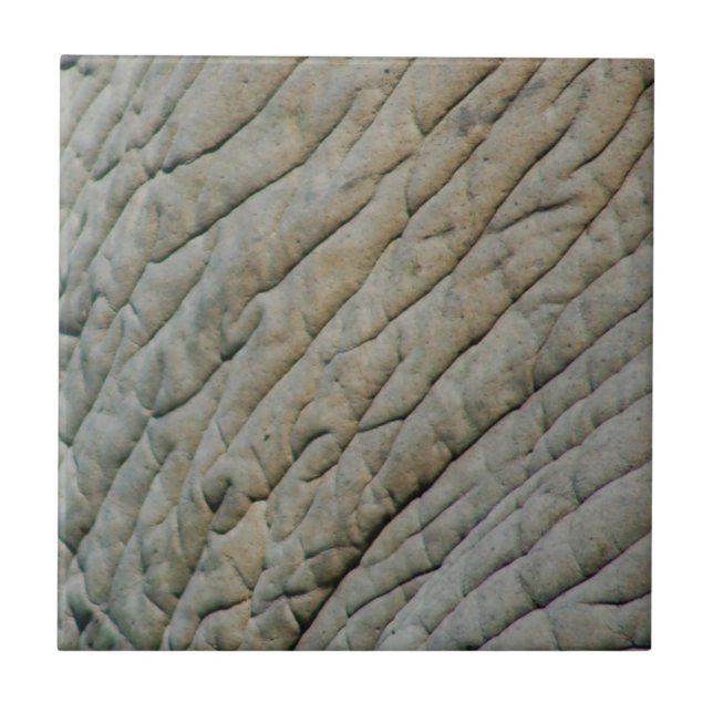 Pele Elefante Personalizada Com Seu Nome (Frente)