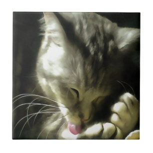 Peles Maciças E Suaves E Púrpura De Uma Gata De Ci