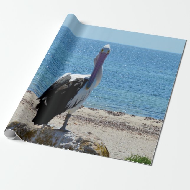 Pelican Com O Papel "Olhar", De Presente (Desenrolado)