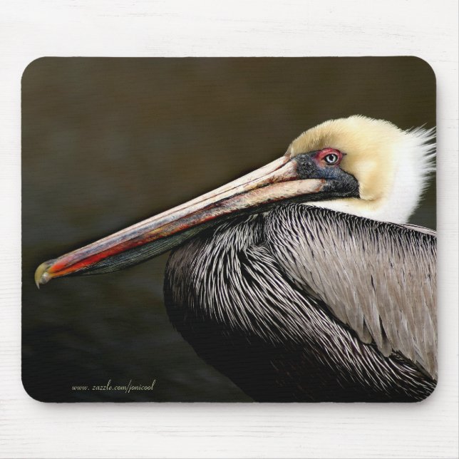 Pelican Mousepad (Frente)