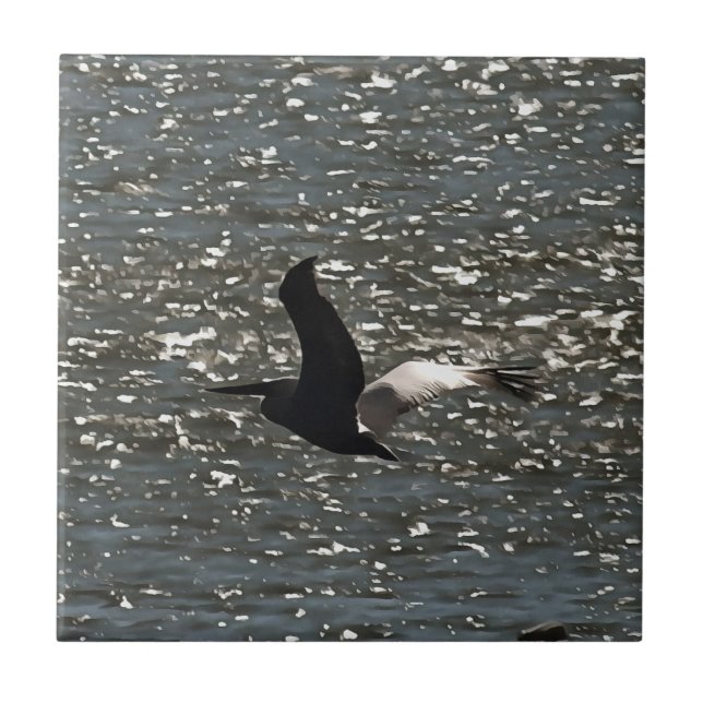 Pelican voando sobre o lago Shimmering Bafa (Frente)