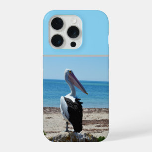 Pelicano Na Rocha Da Praia,