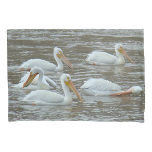 Pelicanos Brancos B16 no Rio Lamacento