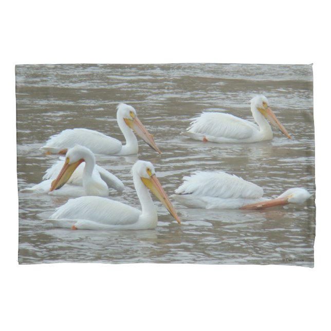 Pelicanos Brancos B16 no Rio Lamacento (Frente)