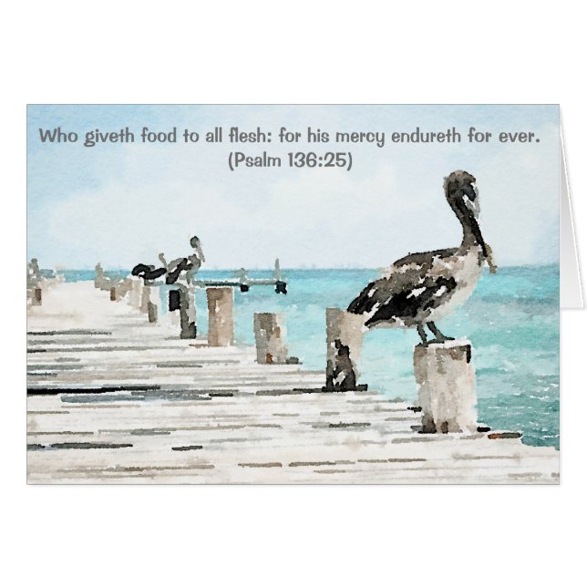 Pelicanos do cartão no cais, 136:25 do picosegundo (Frente Horizontal)