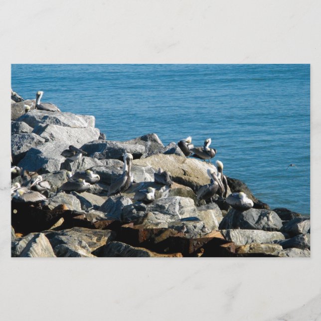 Pelicanos nas Rochas (Frente)