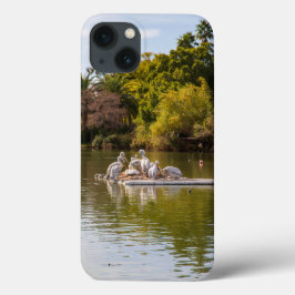 Pelicanos no lago no zoológico de Phoenix