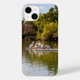 Pelicanos no lago no zoológico de Phoenix