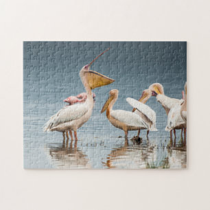 Pelicanos pelo quebra-cabeça do lago