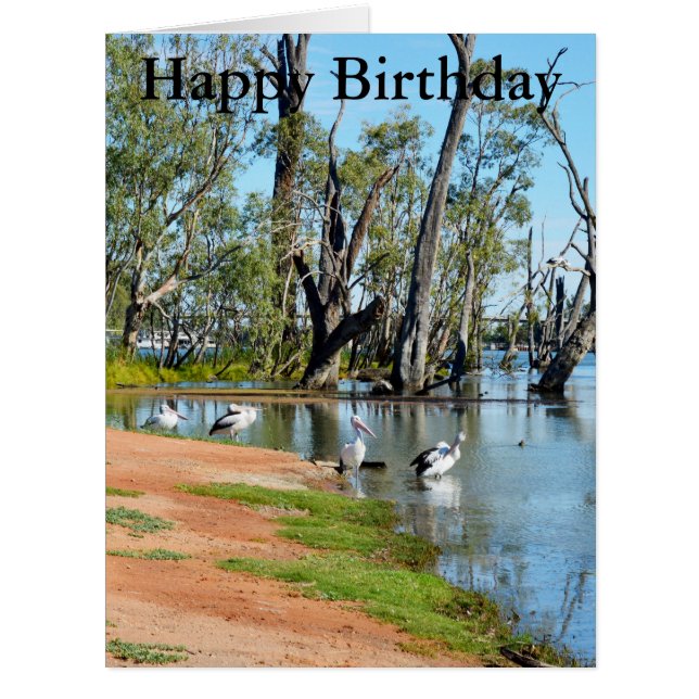 Pelicanos Sunbaking River Murray, Grande Cartão de (Frente)
