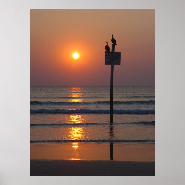 Pelicanos Sunrise Ocean Daytona Beach FL Poster (Frente)