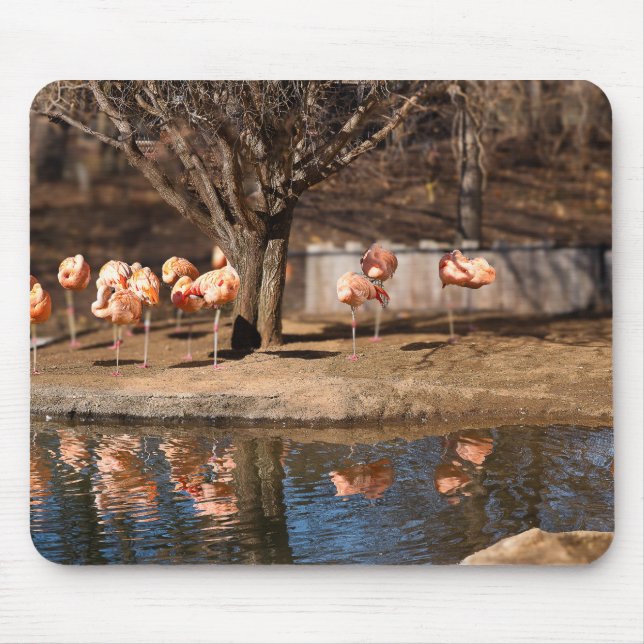 Pelicans Mouse Pad (Frente)